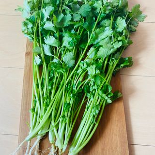 京都府産土で育てた"土（ど）っさり"パクチー！(野菜)