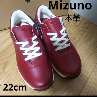 MIZUNO - 新品17600円☆Mizuno ミズノ スニーカー ウォーキングシューズ本革 赤