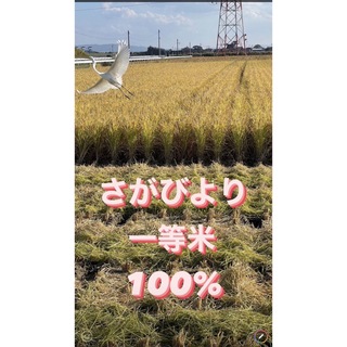 ⭐️新米 令和5年産1等米⭐️佐賀県産さがびより10k(5k×2袋)(米/穀物)