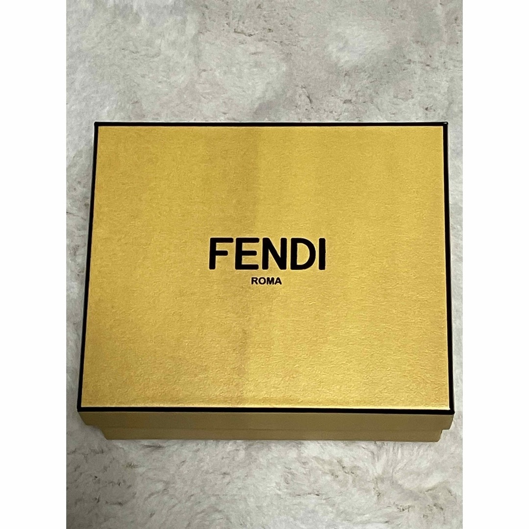 FENDI(フェンディ)のFENDI箱と紙袋 レディースのバッグ(ショップ袋)の商品写真