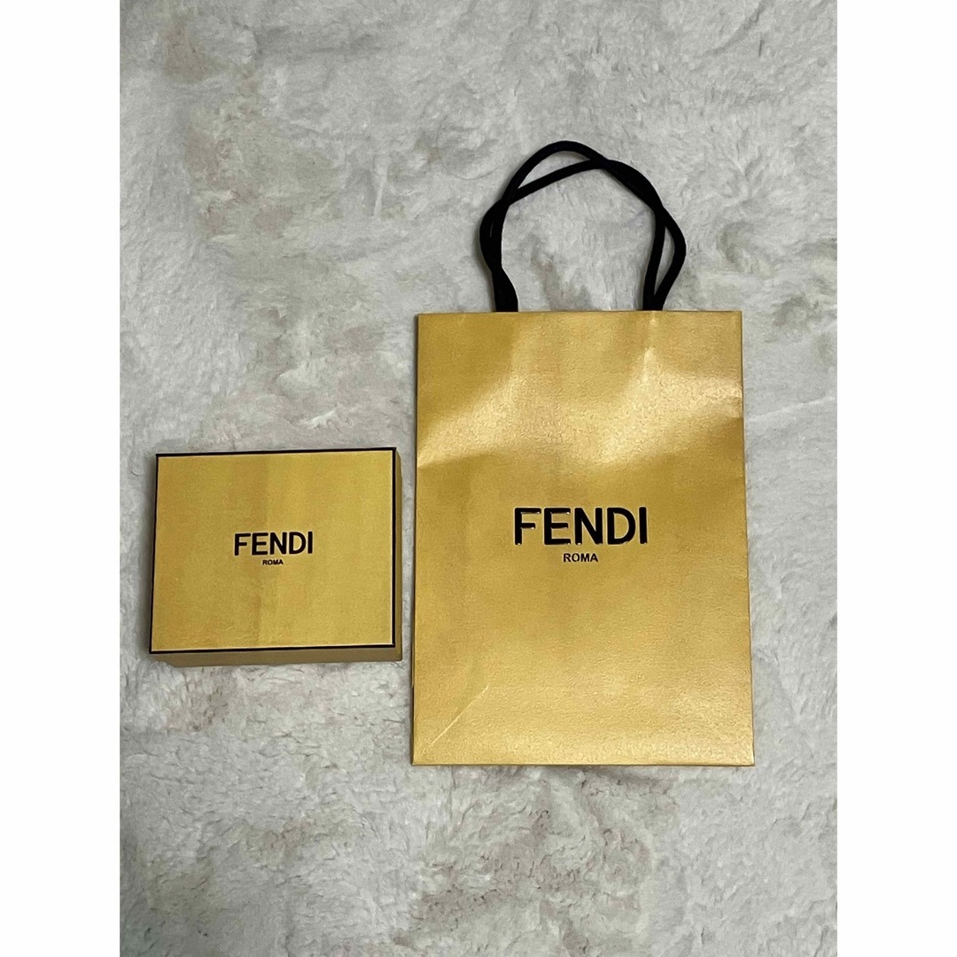 FENDI(フェンディ)のFENDI箱と紙袋 レディースのバッグ(ショップ袋)の商品写真