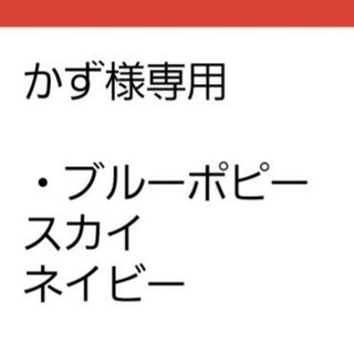 ゆうパケット　ブルーポピー☆ネイビーブルー☆種子20粒(その他)