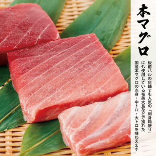 国産本マグロ 約500g 大トロ 中トロ 赤身(魚介)