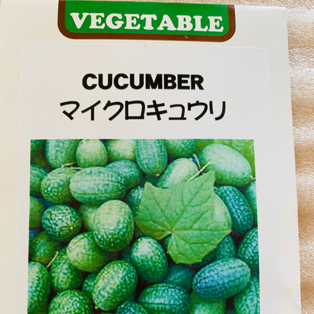 野菜種 マイクロキュウリスイカ 種5粒 食品/飲料/酒の食品(野菜)の商品写真