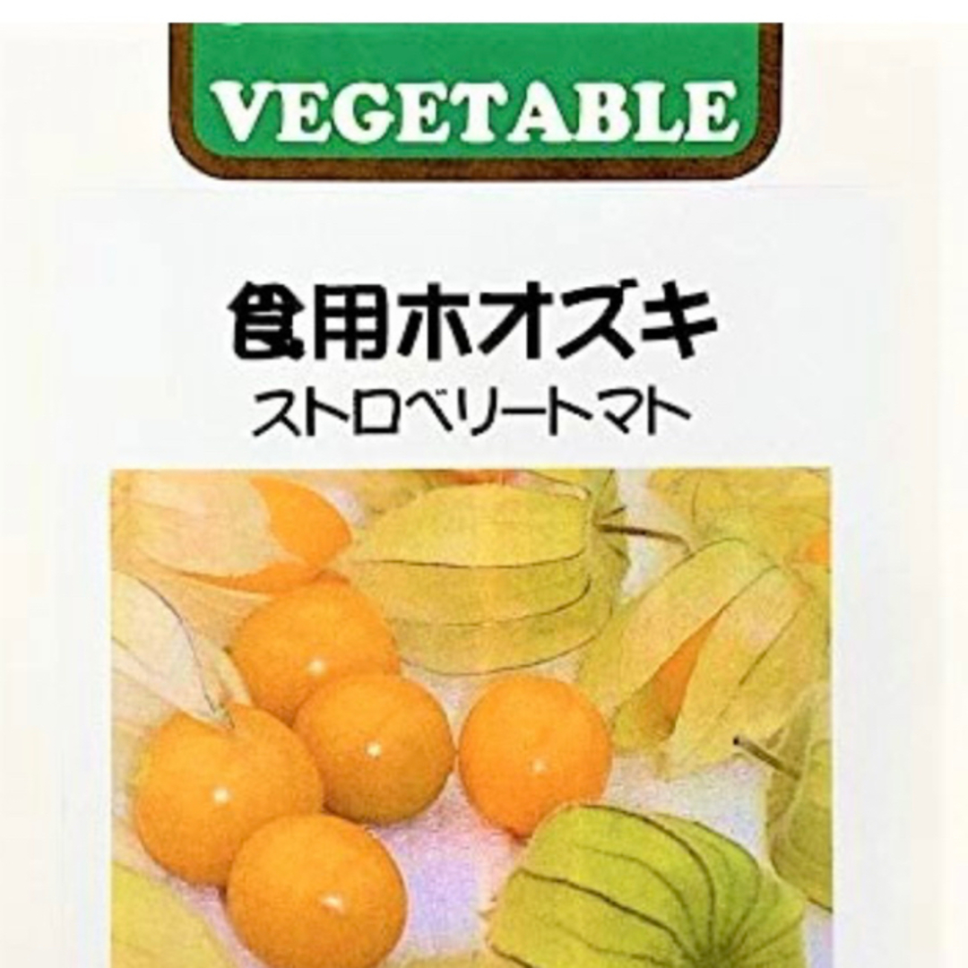 珍しいフルーツ 食用ホオズキ種6粒 食品/飲料/酒の食品(野菜)の商品写真