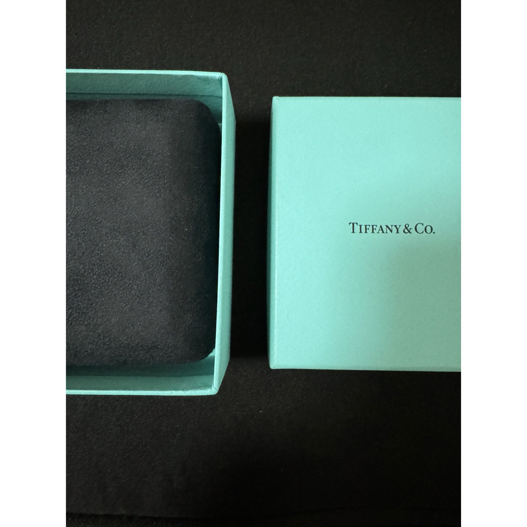 Tiffany & Co.(ティファニー)のTiffany&Co レディースのアクセサリー(ネックレス)の商品写真