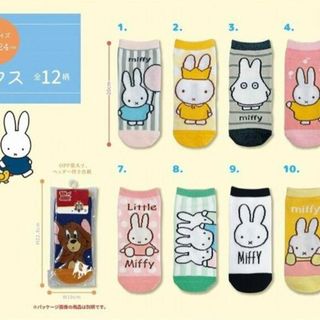 ミッフィー(miffy)のMiffy Socks  12足セット　ミッフィー靴下　ミッフィーソックス(ソックス)