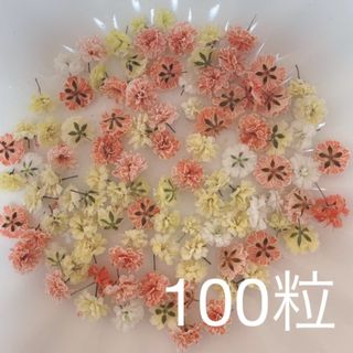 オレンジ系 かすみ草ドライフラワー100粒(ドライフラワー)