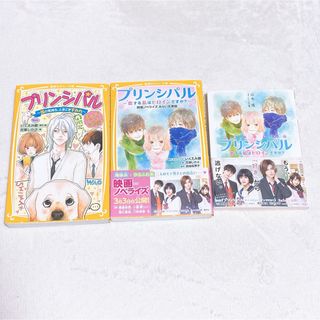 プリンシパル〜恋する私はヒロインですか？〜(文学/小説)