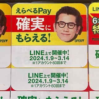 サントリー(サントリー)のサントリー特茶 えらべるpay 30枚1000円(ノベルティグッズ)