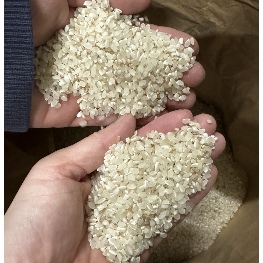 くず米 千葉県産コシヒカリ 25キロ袋込み クズ米の通販 by ブヒ くず米 千葉県産コシヒカリ 25キロ袋込み クズ米の通販 by ブヒ