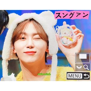 セブンティーン(SEVENTEEN)のseventeenぬいぐるみ　スングァン　5センチ　入手困難品　マスター　1体(ぬいぐるみ)