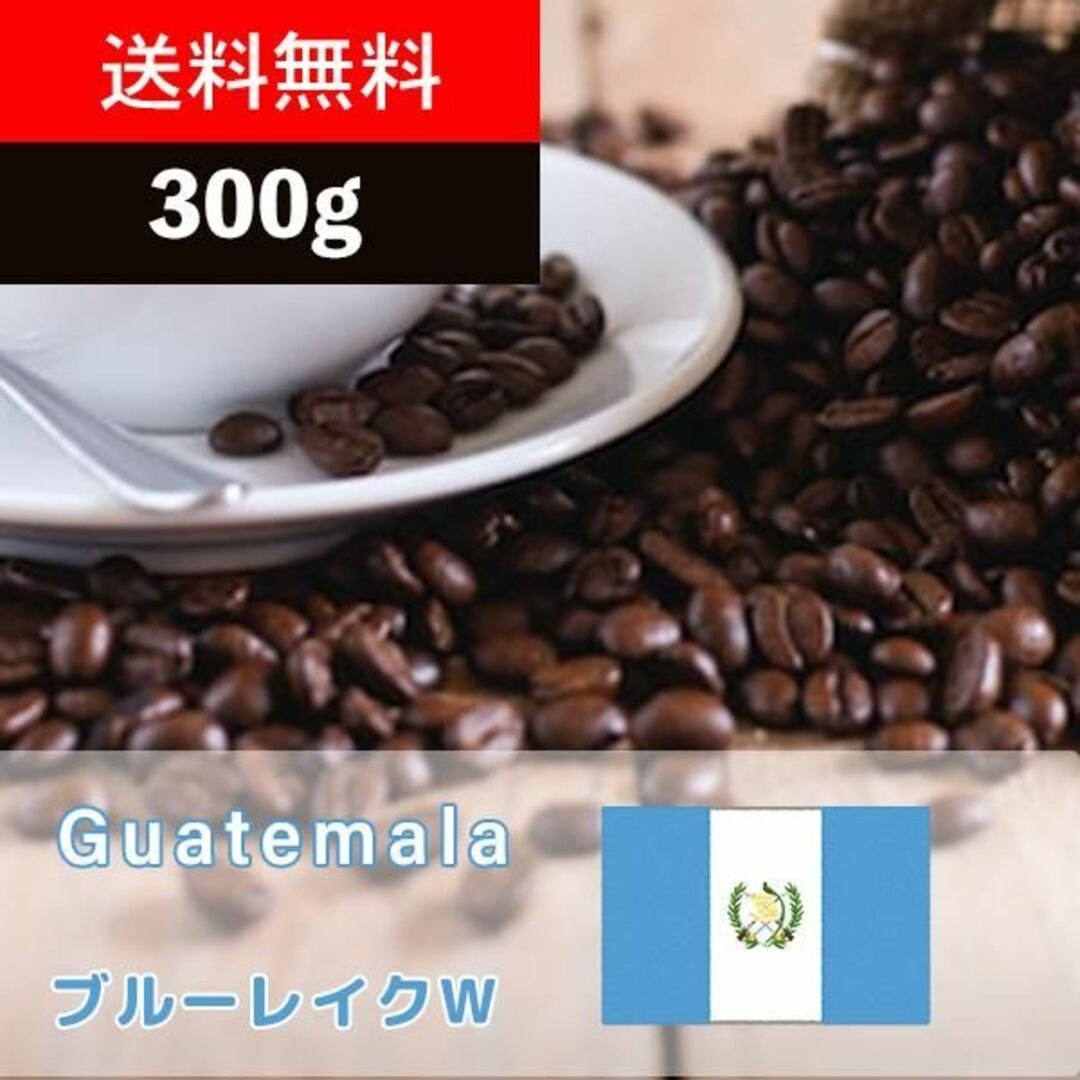 グアテマラ アティトラン ブルーレイク 受注焙煎 300g 食品/飲料/酒の飲料(コーヒー)の商品写真