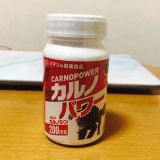 カルノパワー(その他)