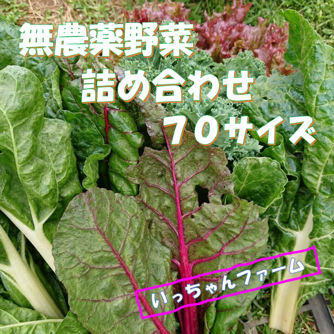 冬の終わりを感じる野菜セット　冬野菜詰め合わせ　７０サイズ　２月２４日以降の発送 食品/飲料/酒の食品(野菜)の商品写真