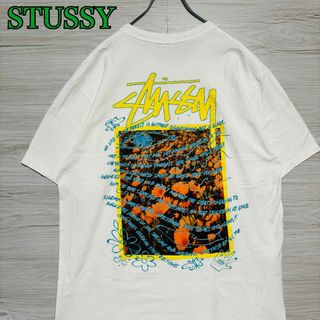 ステューシー(STUSSY)の【希少デザイン】ステューシー　Tシャツ　Lサイズ　バタフライ　蝶々　両面デザイン(Tシャツ/カットソー(半袖/袖なし))