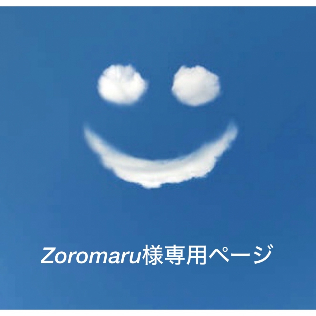 Zoromaru様専用ページ　ジャグアタトゥーシール　 コスメ/美容のコスメ/美容 その他(その他)の商品写真