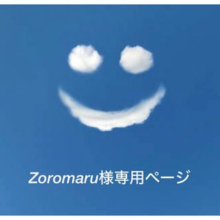 Zoromaru様専用ページ　ジャグアタトゥーシール　(その他)