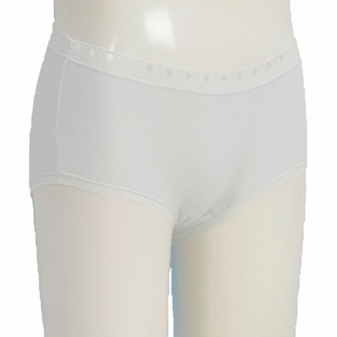 軽失禁 尿漏れショーツ 2枚組 高吸収 防水 女性用 ブルー LLサイズ レディースの下着/アンダーウェア(ショーツ)の商品写真