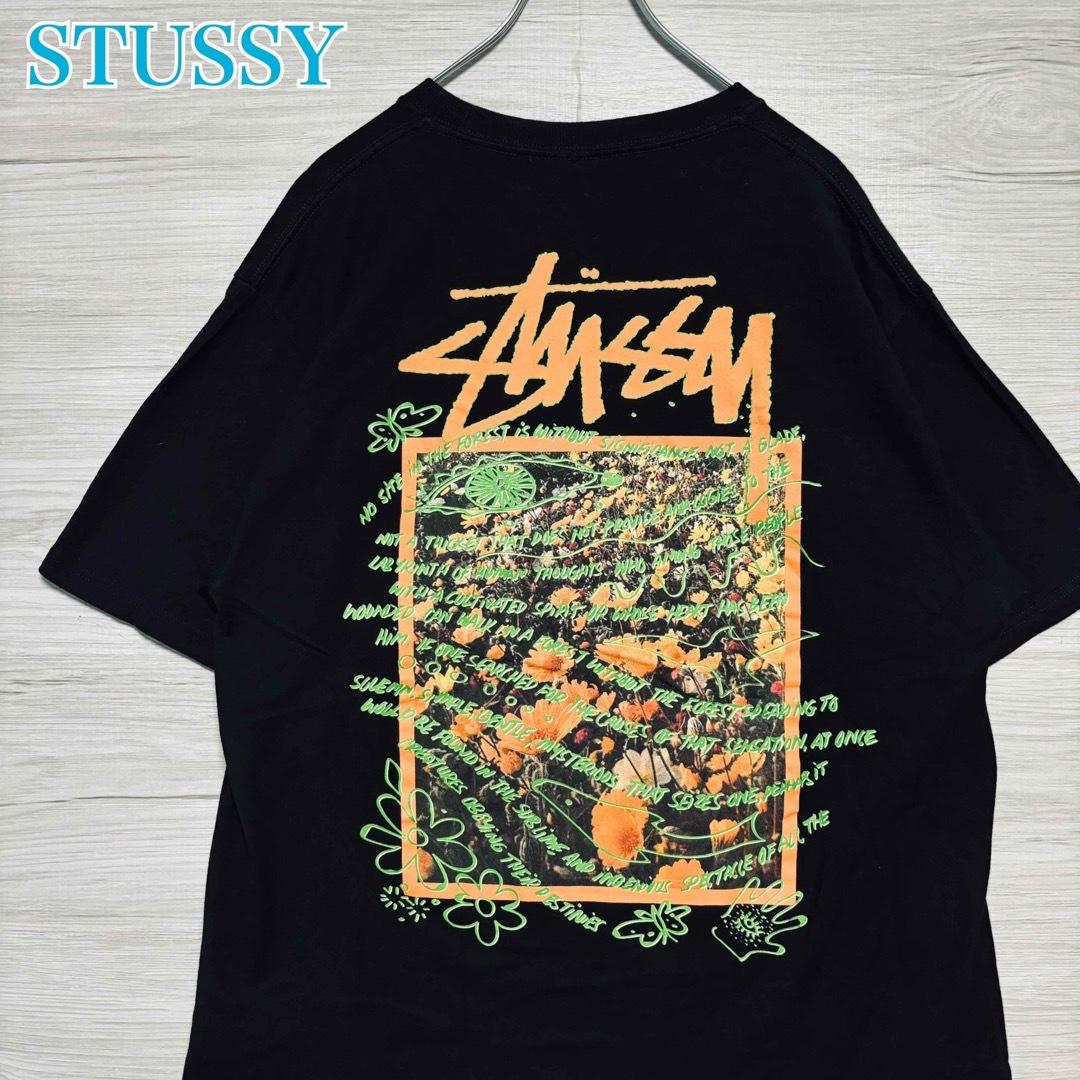 STUSSY(ステューシー)の【希少デザイン】ステューシー　Tシャツ　Lサイズ　バタフライ　蝶々　両面デザイン メンズのトップス(Tシャツ/カットソー(半袖/袖なし))の商品写真