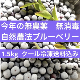 2023年度産　冷凍無農薬ブルーベリー🫐クール冷凍発送📦　1.5kg(フルーツ)