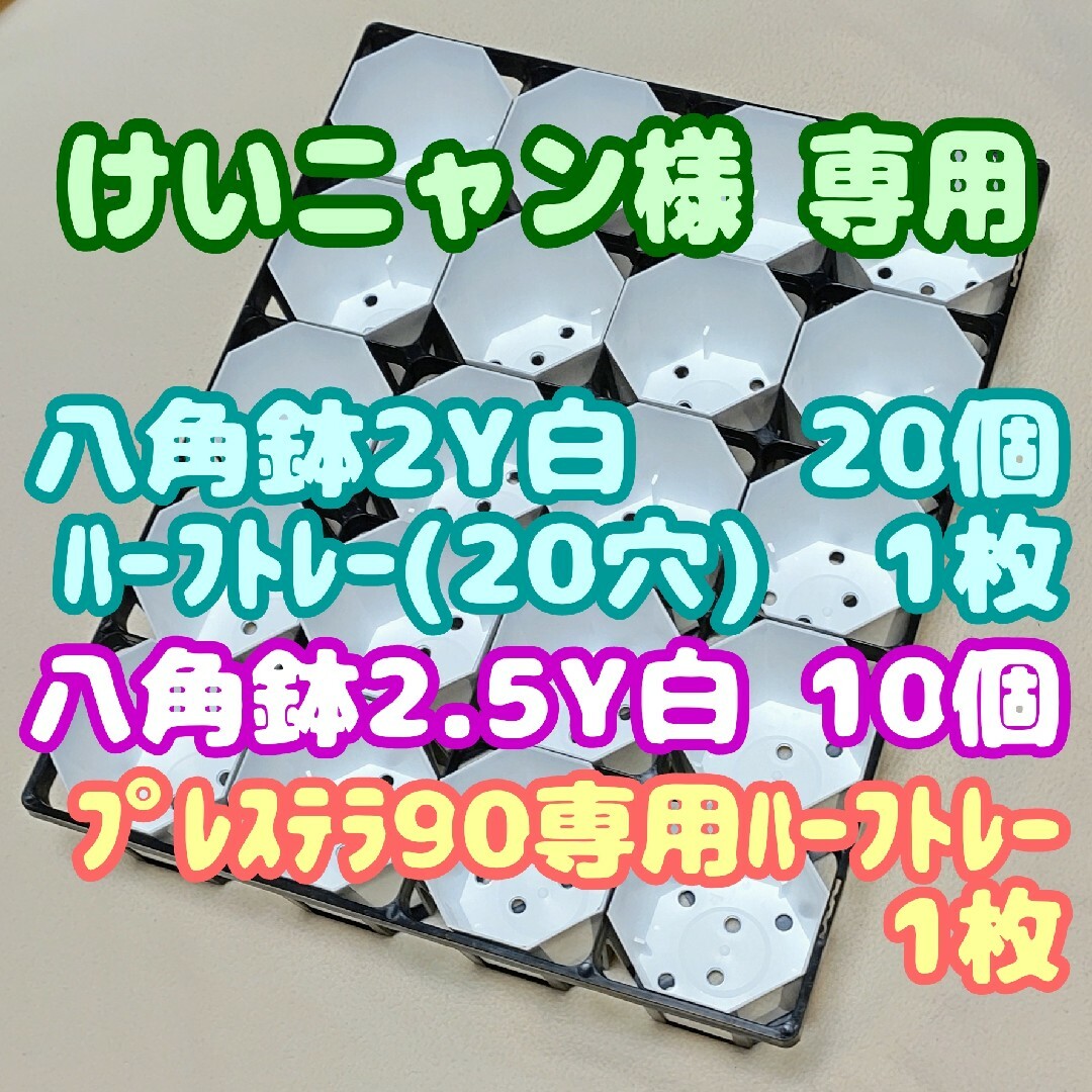 カネヤ八角鉢2Y白20個+ハーフトレー1枚他 プラ鉢スリット鉢プレステラ多肉植物 ハンドメイドのフラワー/ガーデン(プランター)の商品写真