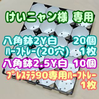 カネヤ八角鉢2Y白20個+ハーフトレー1枚他 プラ鉢スリット鉢プレステラ多肉植物(プランター)