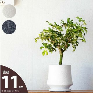 植木鉢　陶器(プランター)