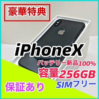 iPhoneX本体(スマートフォン本体)