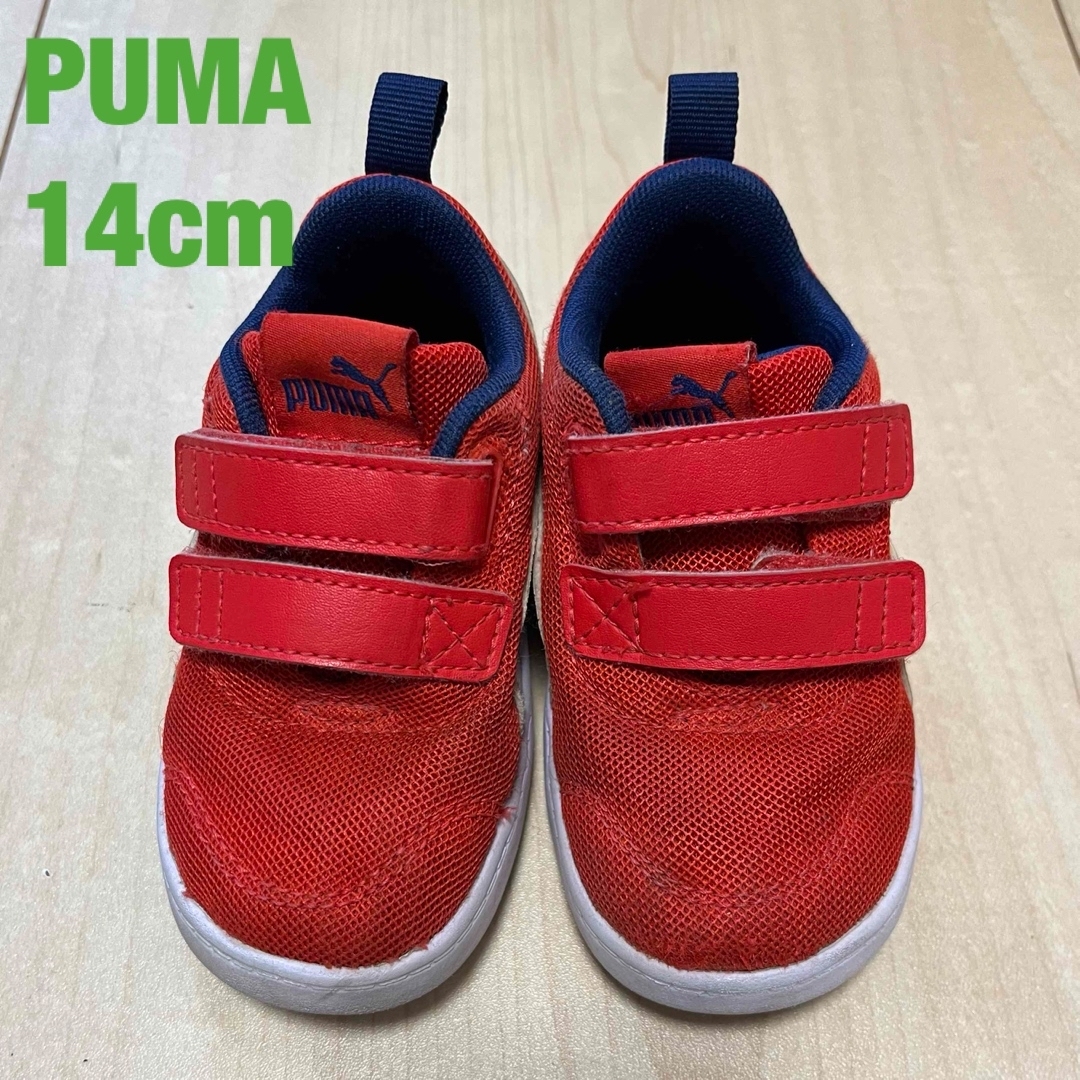 PUMA(プーマ)のPUMA　スニーカー 14.0cm キッズ/ベビー/マタニティのベビー靴/シューズ(~14cm)(スニーカー)の商品写真