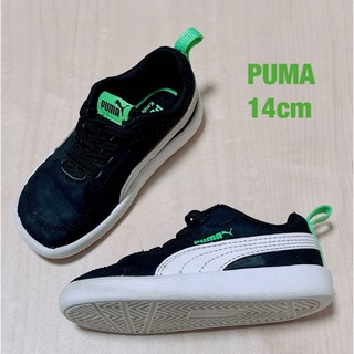 プーマ(PUMA)のPUMA スニーカー　14.0cm(スニーカー)