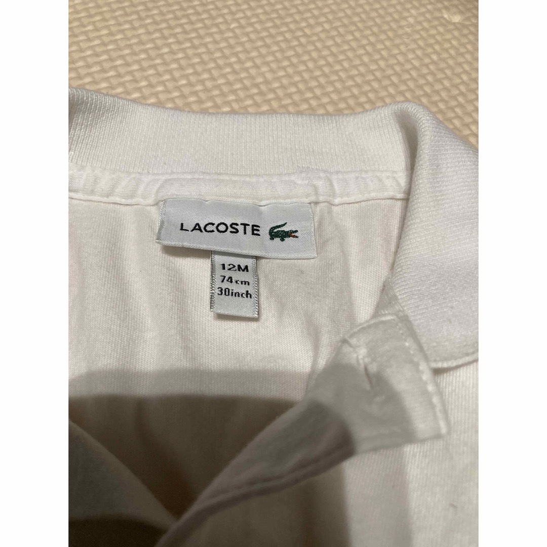 LACOSTE(ラコステ)のラコステ　半袖ポロシャツ　白　12M 74cm  ベビー キッズ/ベビー/マタニティのベビー服(~85cm)(シャツ/カットソー)の商品写真
