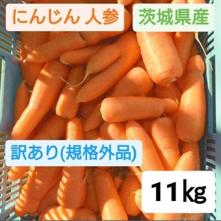 にんじん 人参 規格外品 11㎏ 送料込 茨城県産 農家直送 ジュース用 加工用(野菜)