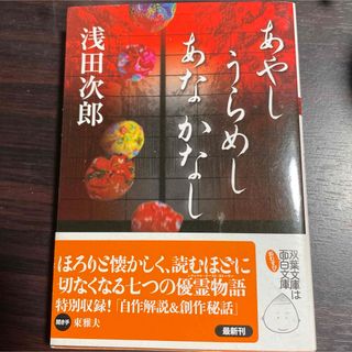 あやしうらめしあなかなし(文学/小説)