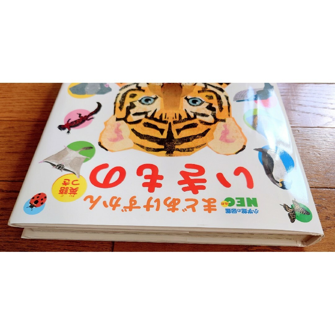 小学館の図鑑NEO まどあけずかん　いきもの 英語つき エンタメ/ホビーの本(絵本/児童書)の商品写真