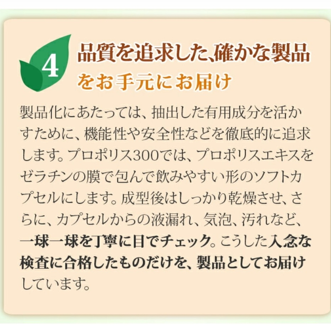 山田養蜂場【24時間以内発送】山田養蜂場 プロポリス300 詰替用 100球