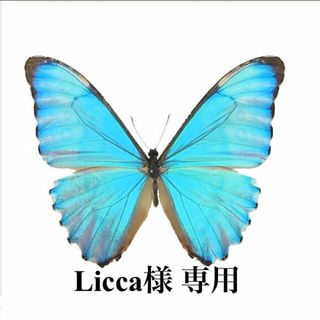 Licca様　専用(その他)