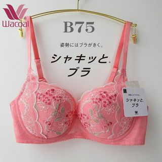 ワコール(Wacoal)のB75🌸新品🌸💗ワコール シャキッとブラ💗定価6600円(ブラ)