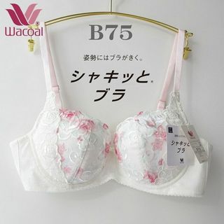 ワコール(Wacoal)のB75🌸新品🌸💗ワコール シャキッとブラ💗定価6600円(ブラ)