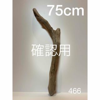 流木【466】(置物)