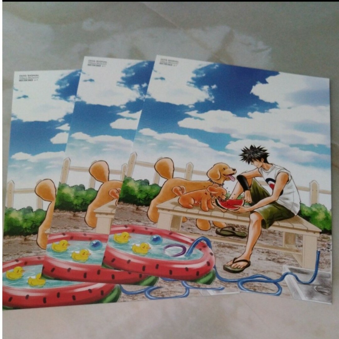 ドッグシグナル dog signal カドコミ イラストカード　3枚 セット エンタメ/ホビーのアニメグッズ(カード)の商品写真