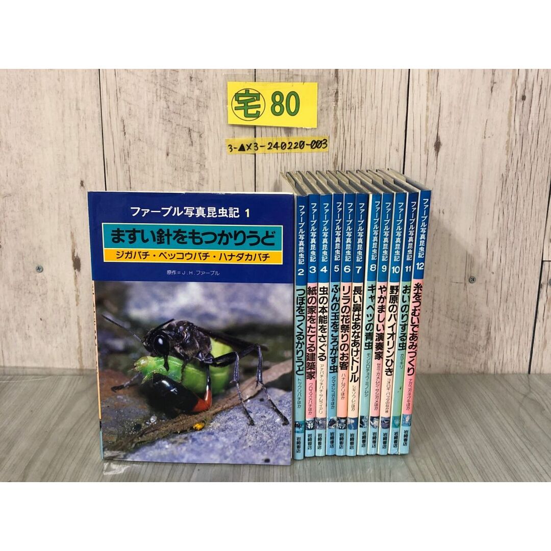 3-△全12巻揃い まとめ ファーブル写真昆虫記 1986-1987年 昭和 3-△全12巻揃い まとめ ファーブル写真昆虫記 1986-1987年 昭和