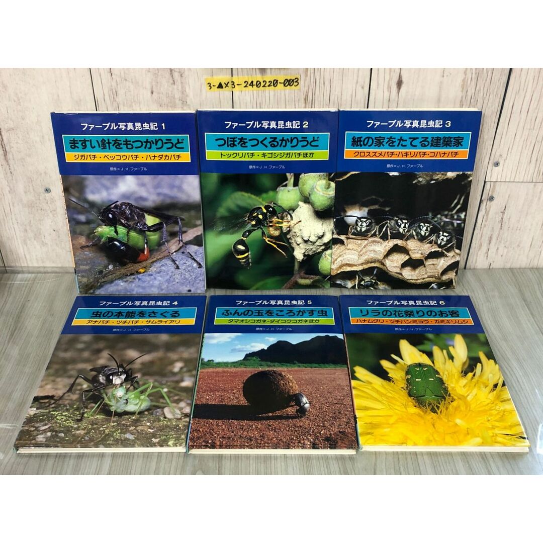 3-△全12巻揃い まとめ ファーブル写真昆虫記 1986-1987年 昭和 3-△全12巻揃い まとめ ファーブル写真昆虫記 1986-1987年 昭和