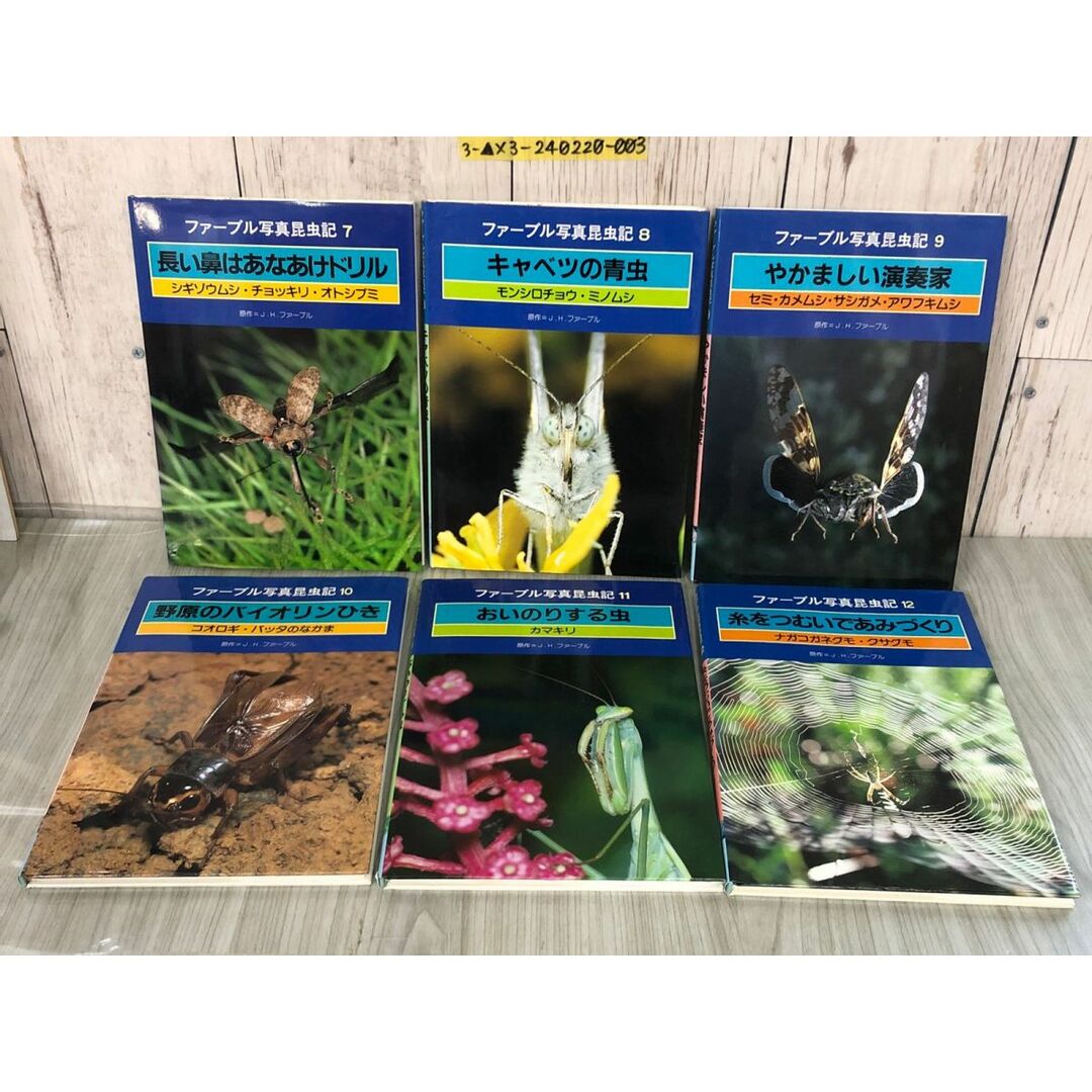 3-△全12巻揃い まとめ ファーブル写真昆虫記 1986-1987年 昭和 3-△全12巻揃い まとめ ファーブル写真昆虫記 1986-1987年 昭和