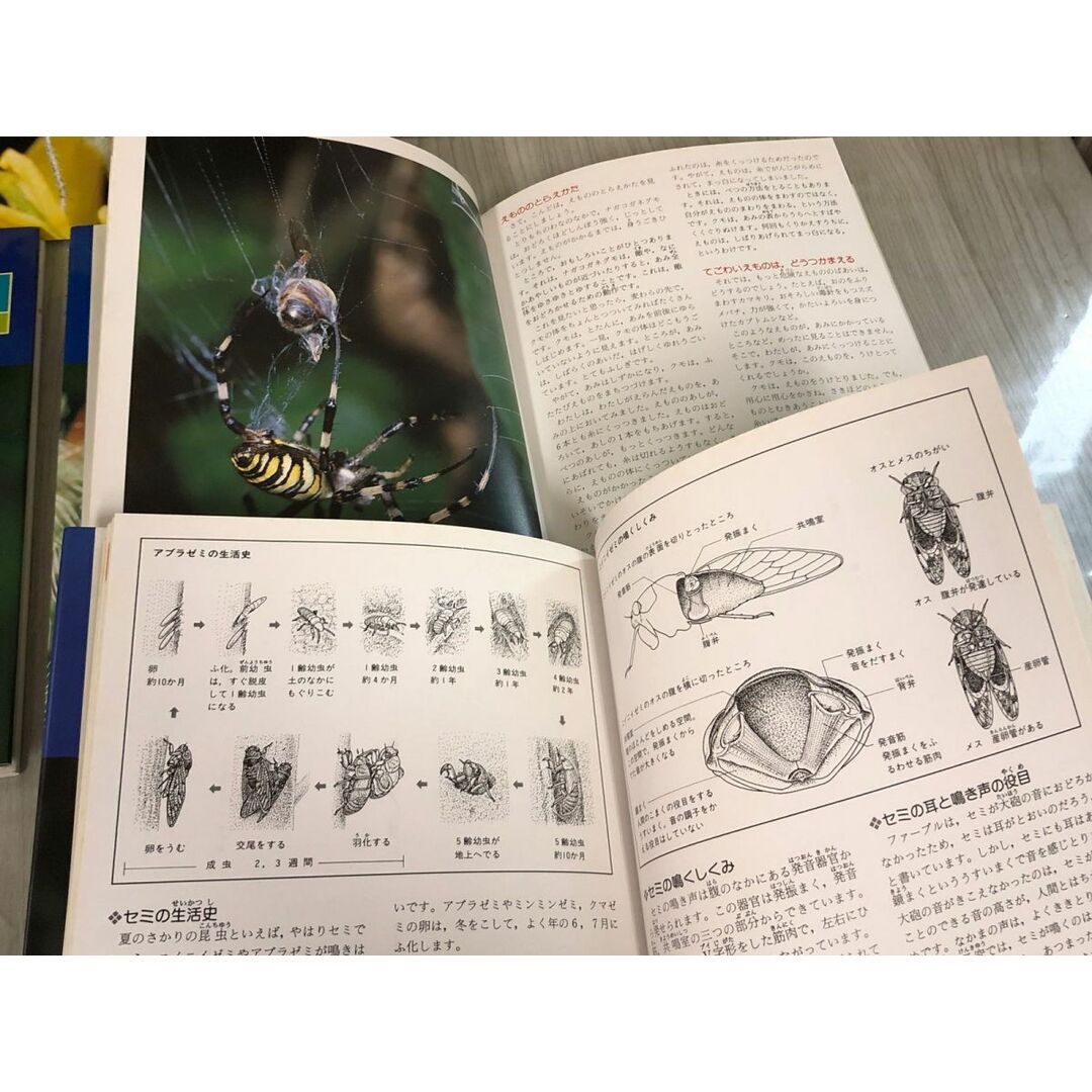 3-△全12巻揃い まとめ ファーブル写真昆虫記 1986-1987年 昭和 3-△全12巻揃い まとめ ファーブル写真昆虫記 1986-1987年 昭和