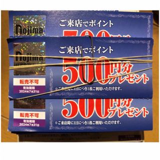 ノジマ　株主優待　500ポイント券　20枚　10000円分(ショッピング)