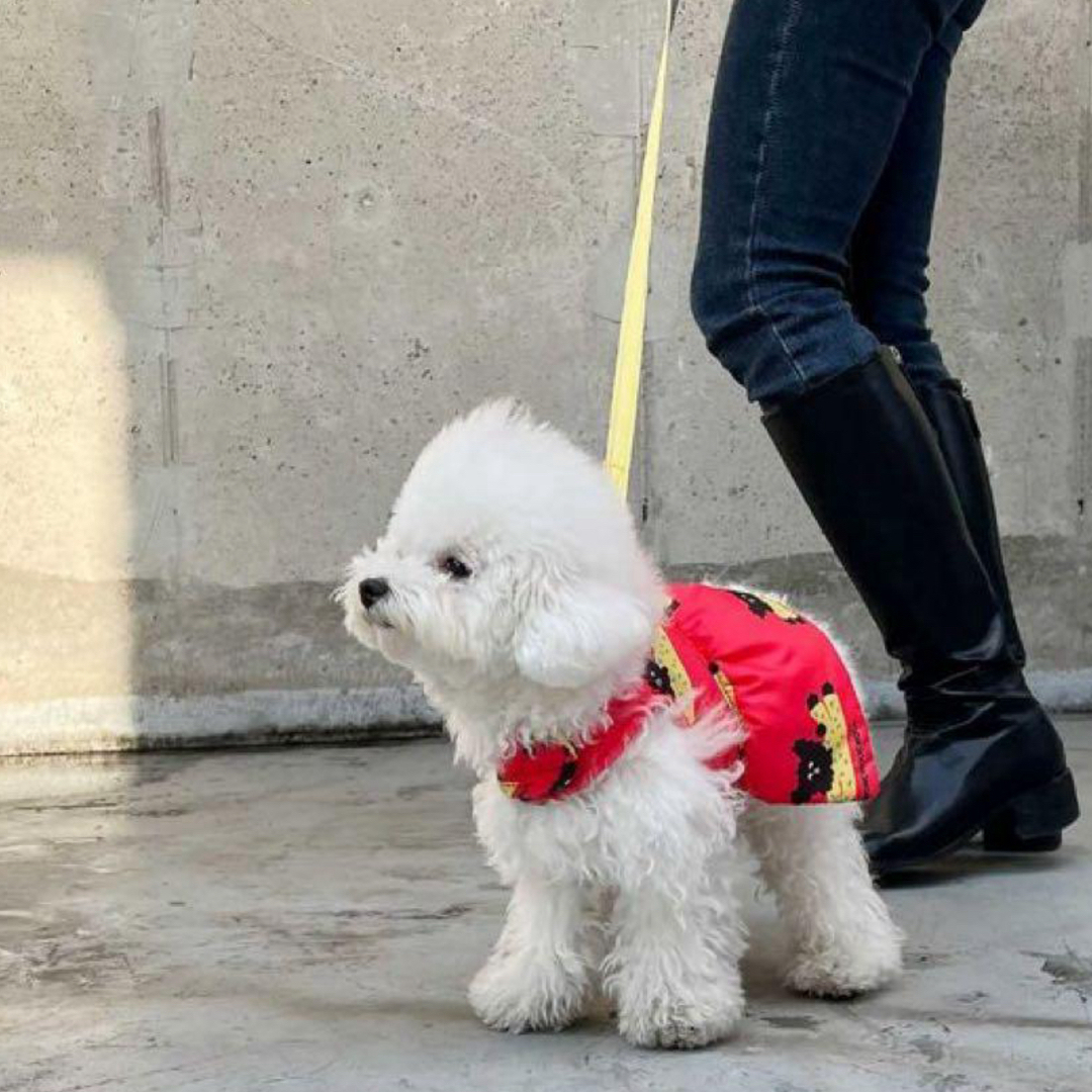 韓国犬服ブランド　MONCHOUCHOU タイニードッグプロムハーネス　Lサイズ その他のペット用品(犬)の商品写真