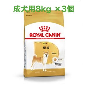 ロイヤルカナン(ROYAL CANIN)のロイヤルカナン　柴犬成犬用8kg ×3個(ペットフード)