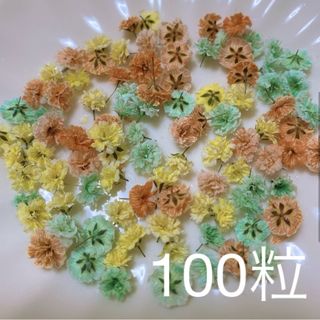 オレンジ×ミントグリーン系 かすみ草ドライフラワー100粒(ドライフラワー)