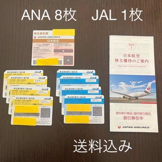 ANA(全日本空輸) - ANA株主優待券13枚セット 有効期限2023.11.30の通販